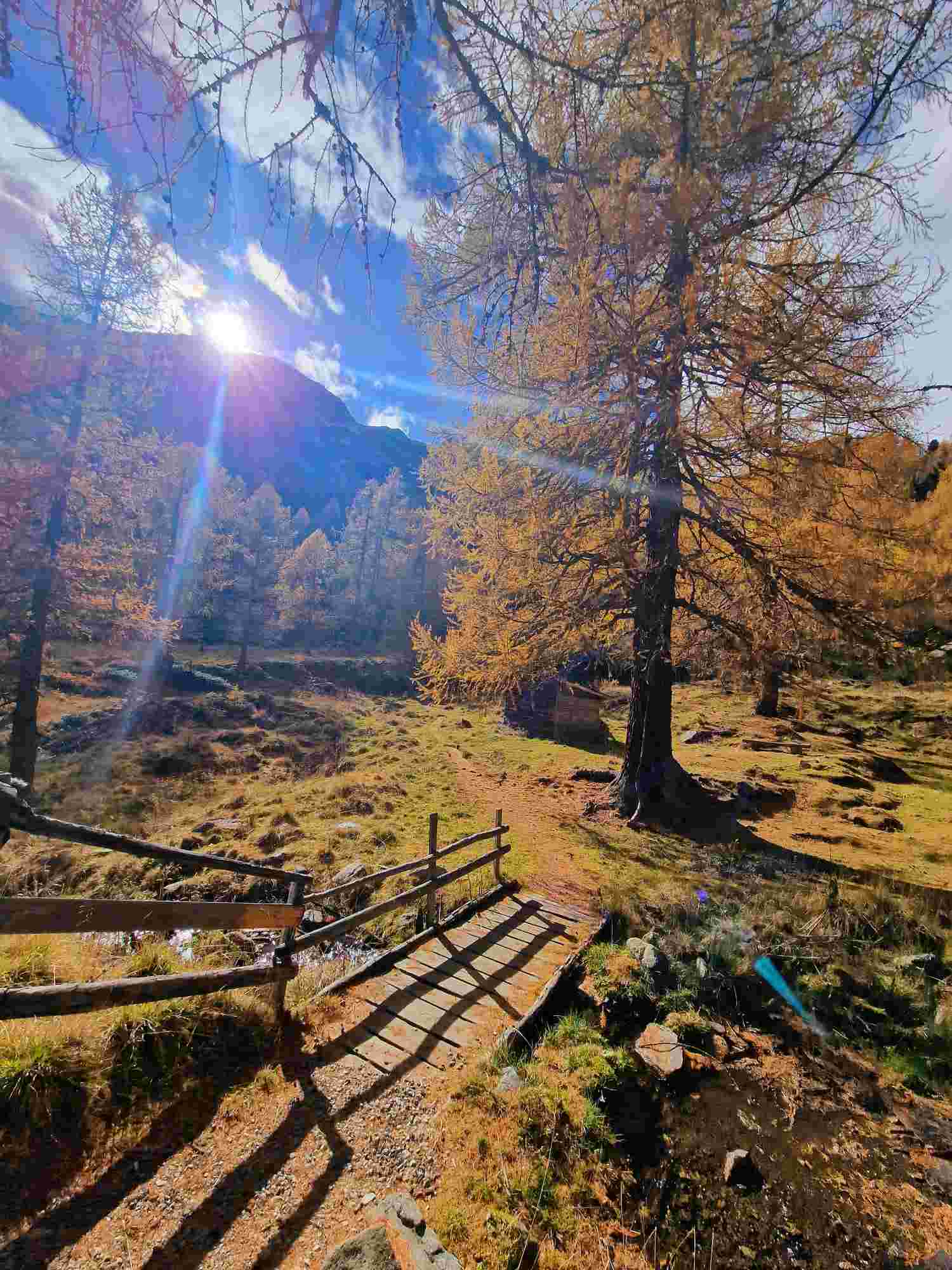 Herbsturlaub in Völlan – goldene Landschaft
